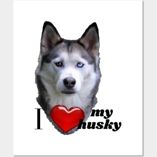 I love my husky Posters and Art